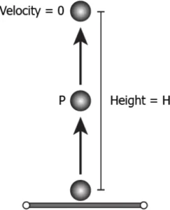 cbe-questions-science-class-9-ch-9-q-15
