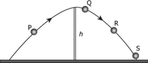 cbe-questions-science-class-9-ch-9-q-16