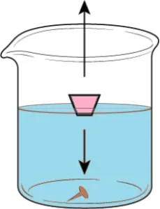 cbe-questions-science-class-9-ch-9-q-24