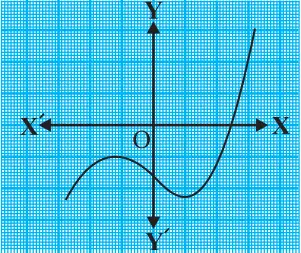NCERT Solutions Maths Chapter 2 Exercise 2.1 Q.1-ii