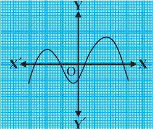 NCERT Solutions Maths Chapter 2 Exercise 2.1 Q.1-v