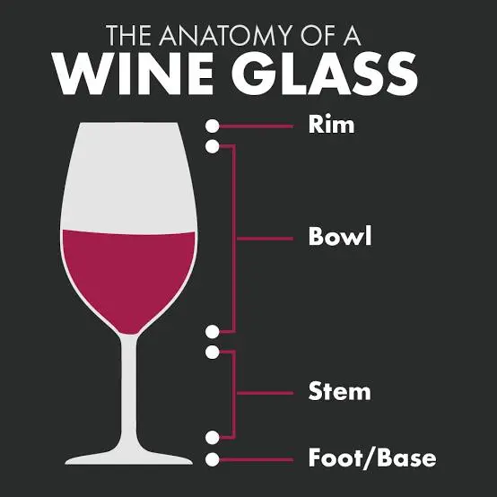 Why do Wine glasses have stems?