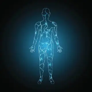 Does the Human body produce Electricity?