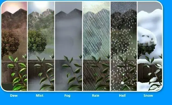 What is the difference between Fog, Mist and Dew?