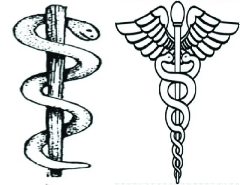 Why is the Medical symbol a snake on a stick?