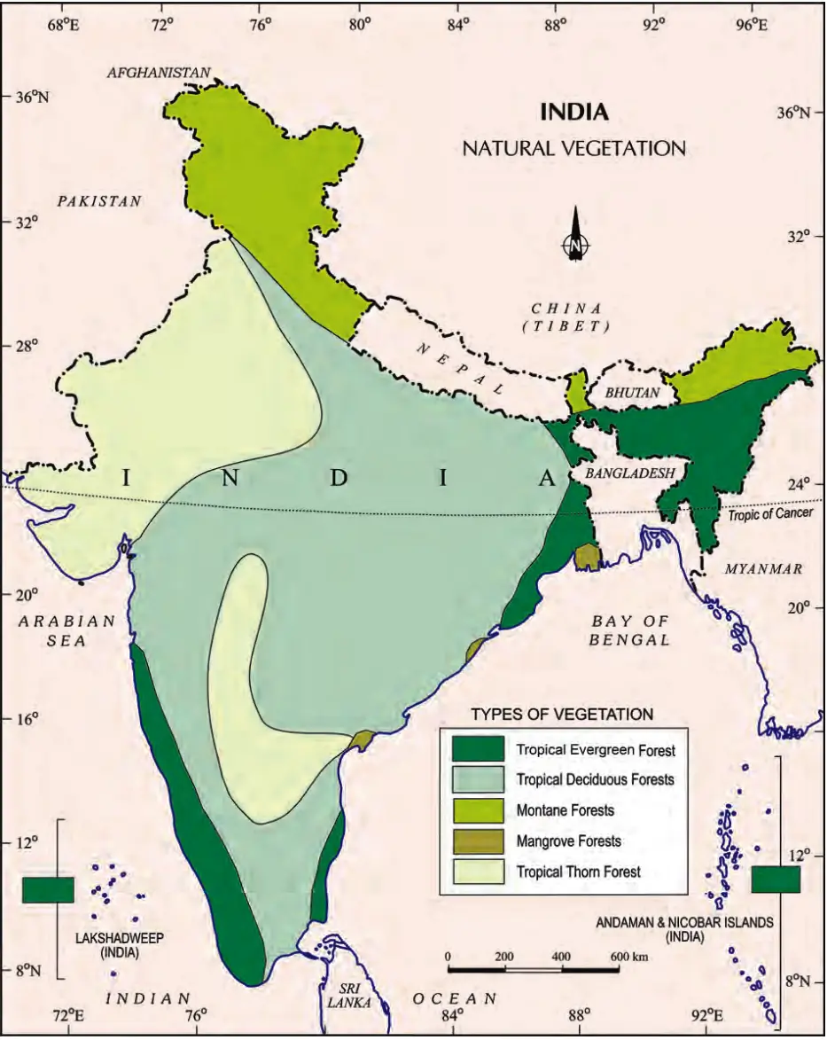 Revision Notes Geography Class 9 Chapter 5 Natural Vegetation