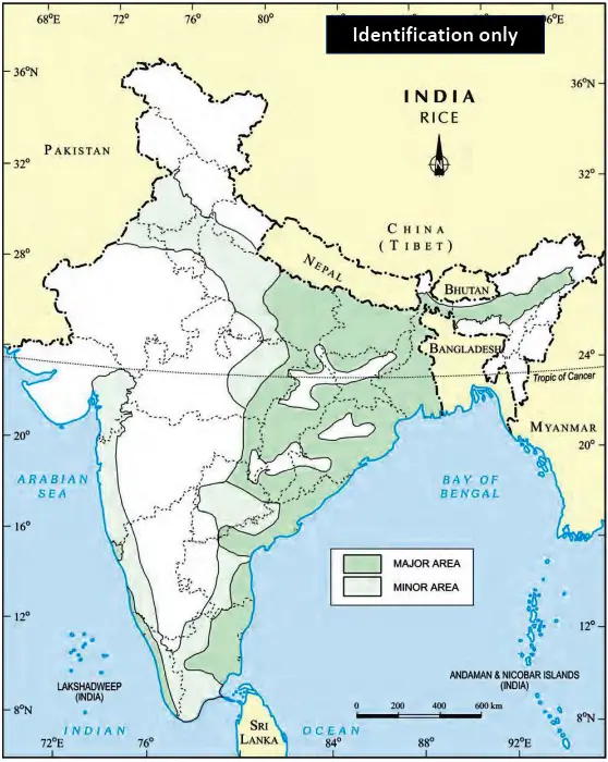 Geography Class 10 Map Work Chapter 4 Agriculture - Rice