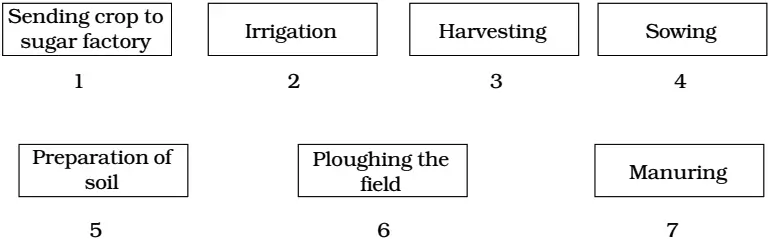 NCERT Solution Class 8 Science Chapter 1 Q10