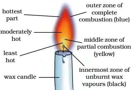 NCERT Solution Class 8 Science Chapter 4 Q6 Answer