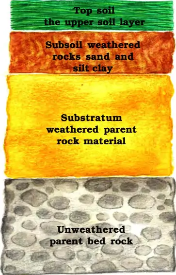 Soil Profile