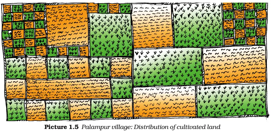 Intext Questions Economics Class 9 Chapter 1 The Story of Village Palampur 04