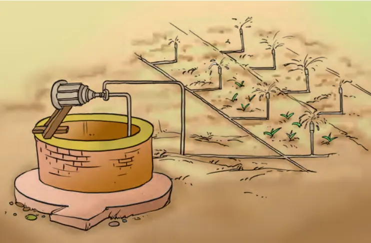 Sprinkler System