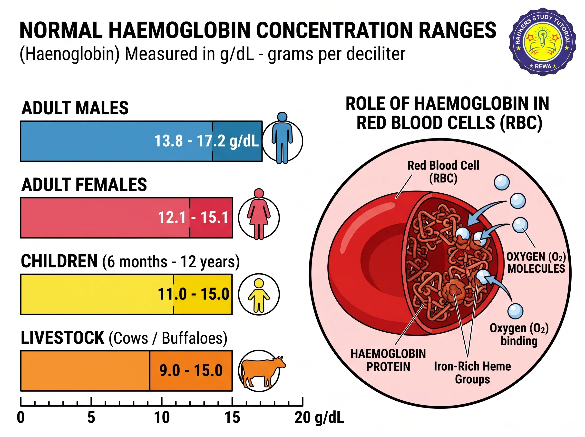 Activity 5.7 Haemoglobin Level Survey