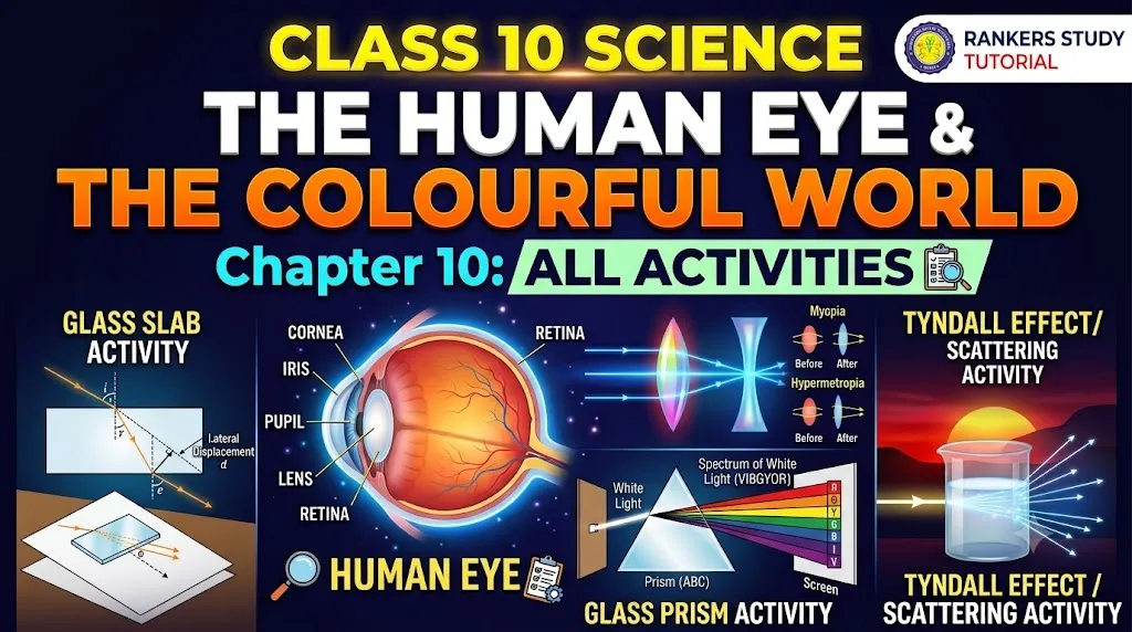 cbse class 10 science chapter 10 banner image