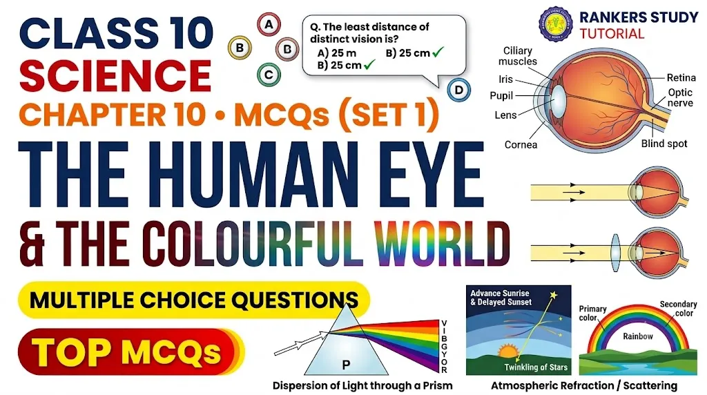 cbse class 10 science chapter 10 mcqs set 1 banner image