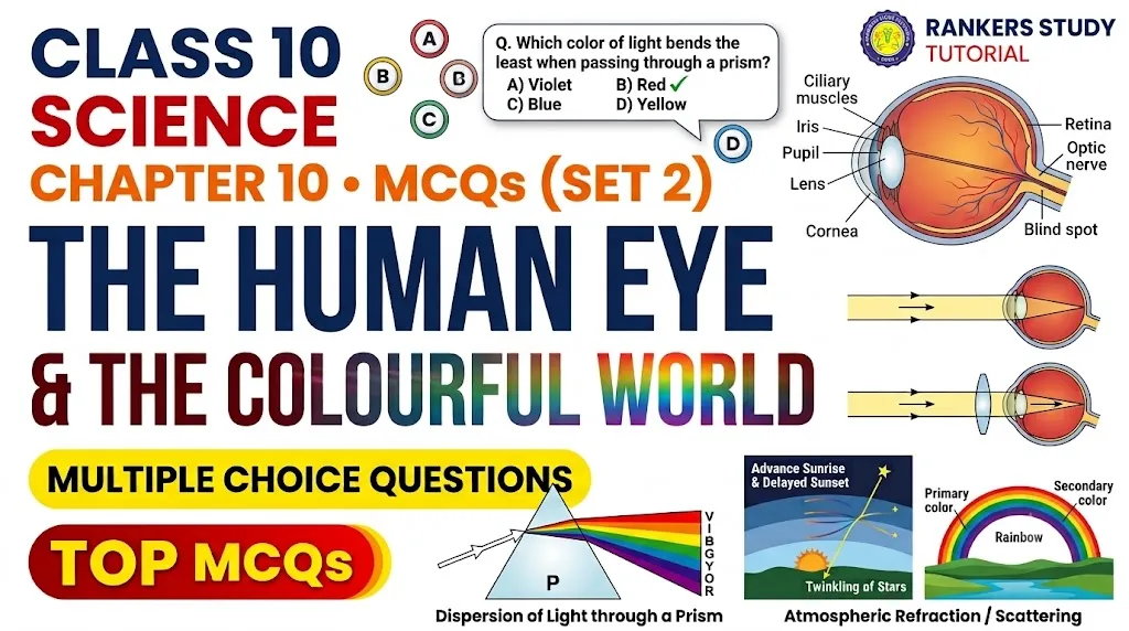 cbse class 10 science chapter 10 mcqs set 2 banner image