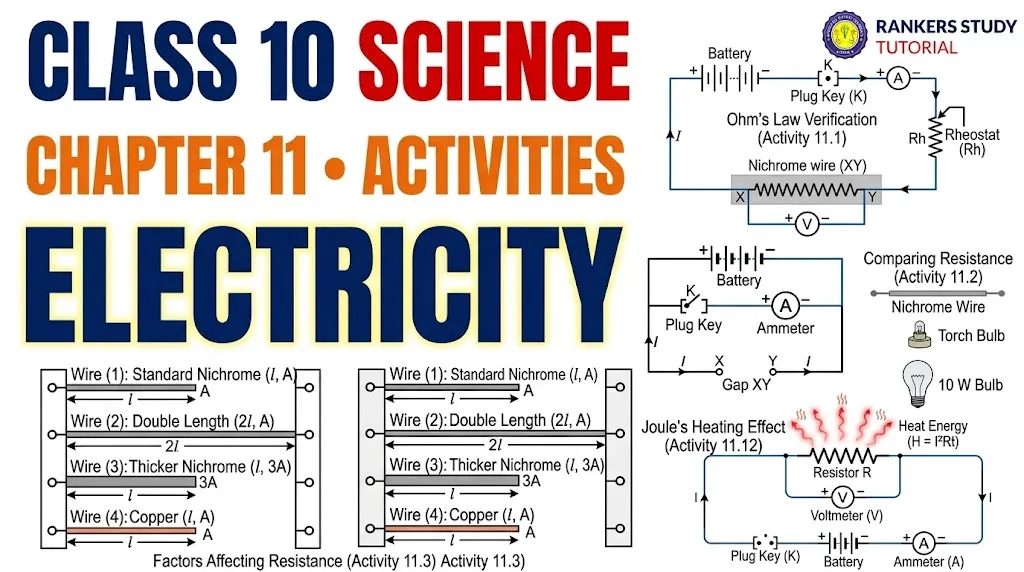 cbse class 10 science chapter 11 banner image