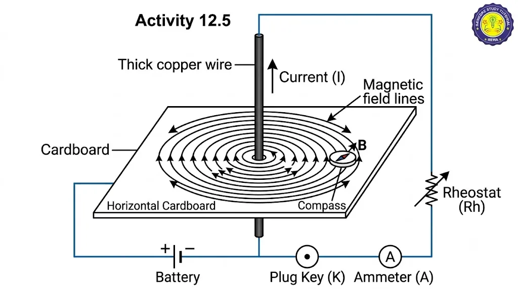 Activity 12.5 Concentric circles around straight conductor