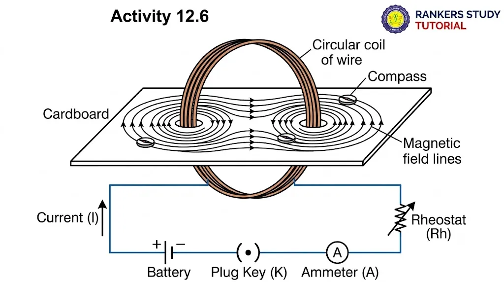 Activity 12.6 Magnetic field of circular coil