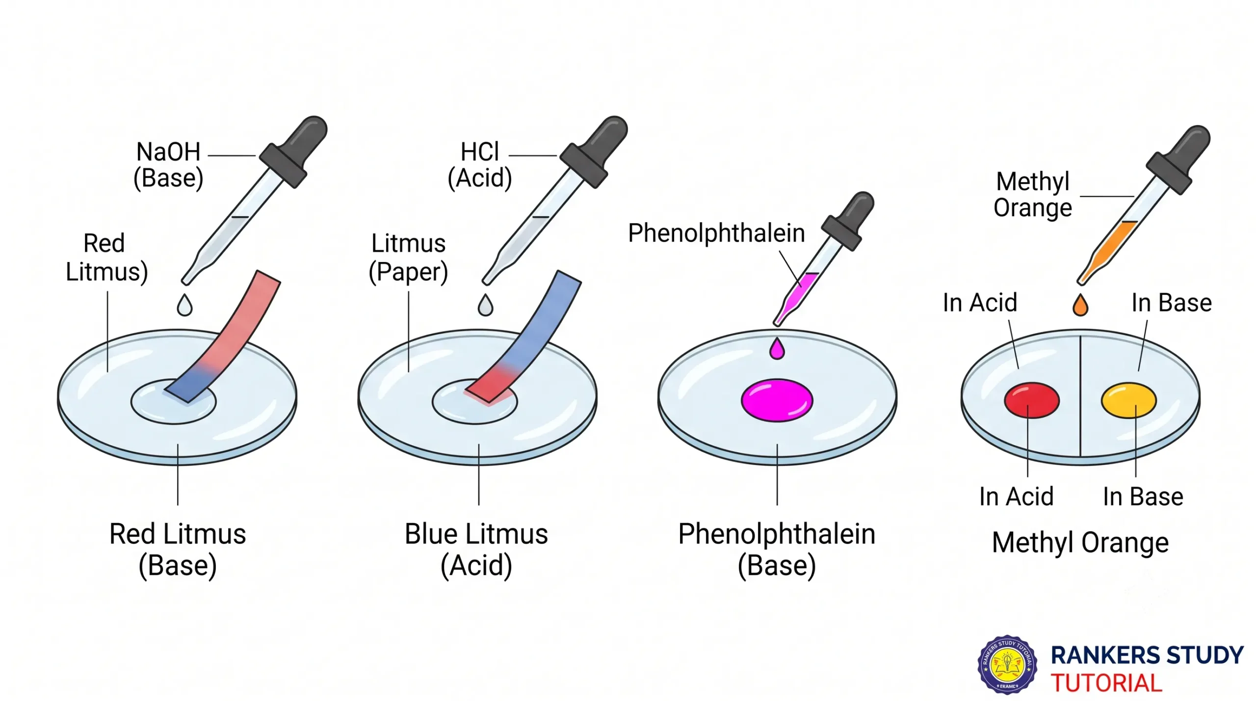 Acid and Base Indicators in Laboratory