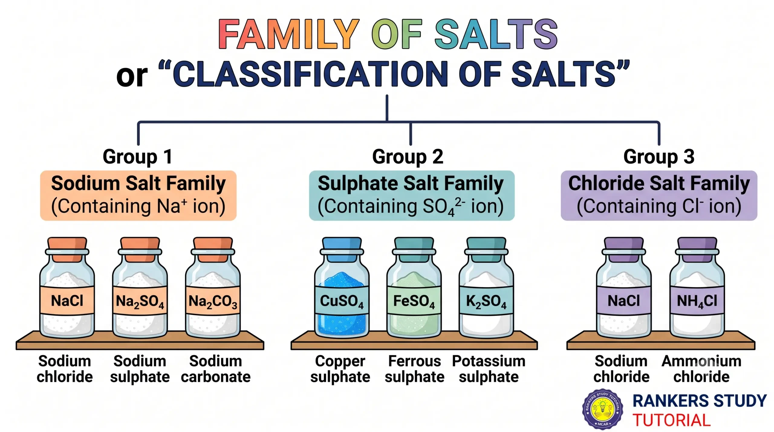 Classification of Salt Families