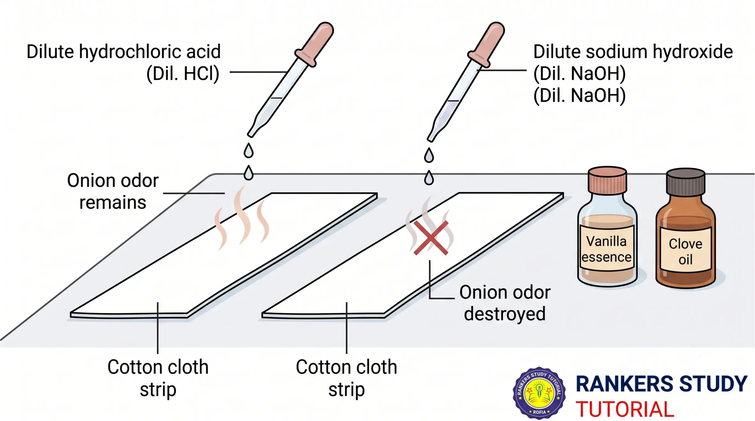 Olfactory Indicators Testing