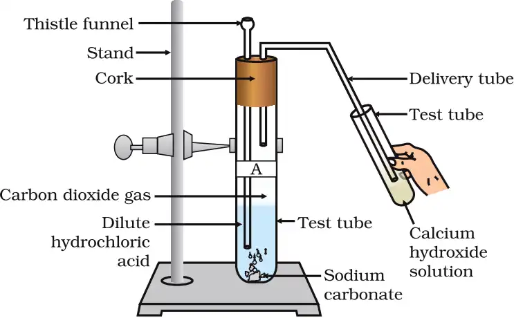 Carbon Dioxide Passed Through Lime Water