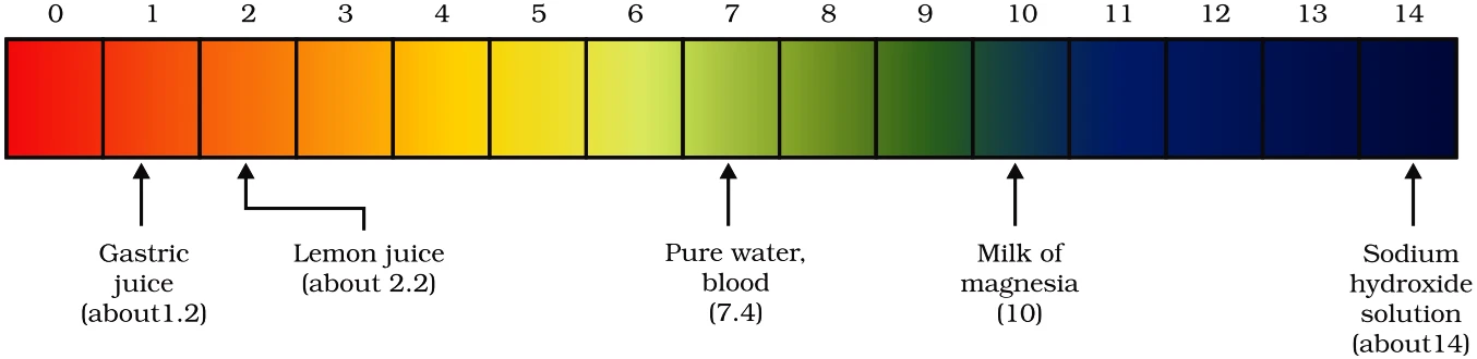 pH Paper Color Scale Chart