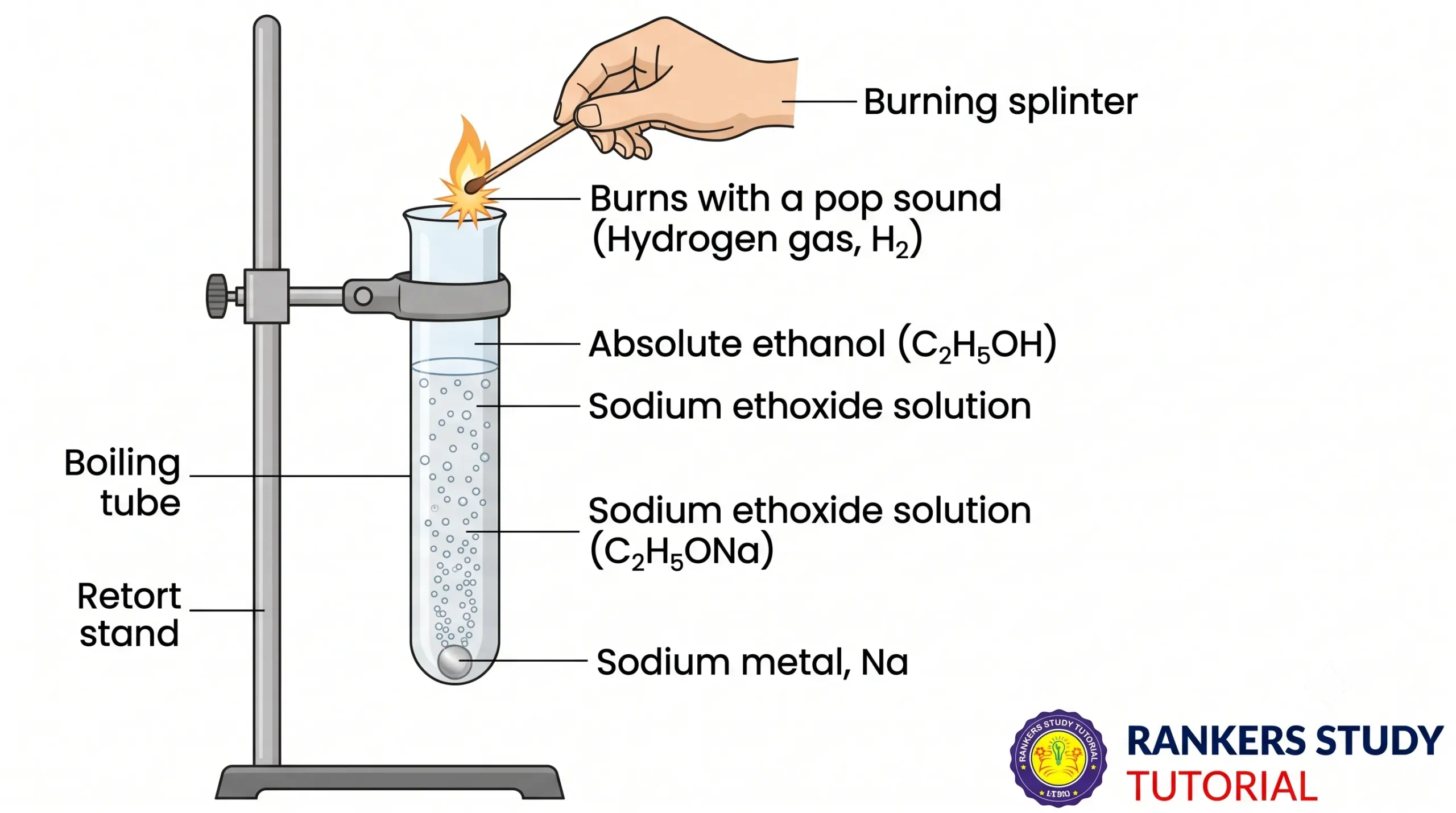 Reaction of Sodium Metal with Absolute Ethanol