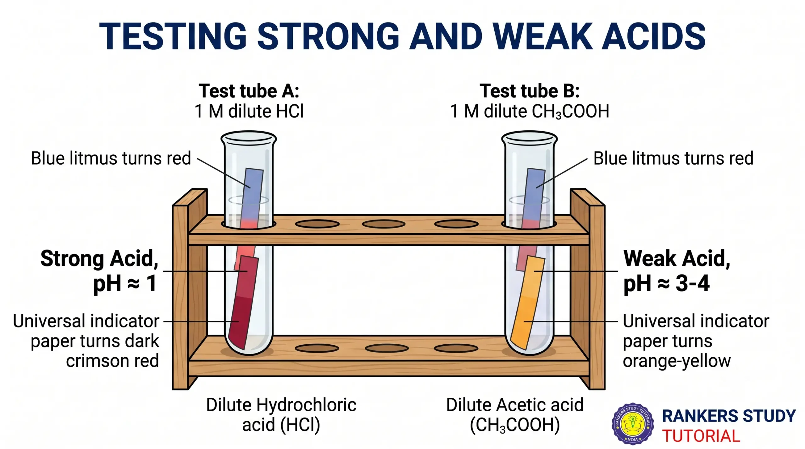 Comparative pH Testing of Acetic Acid and Hydrochloric Acid