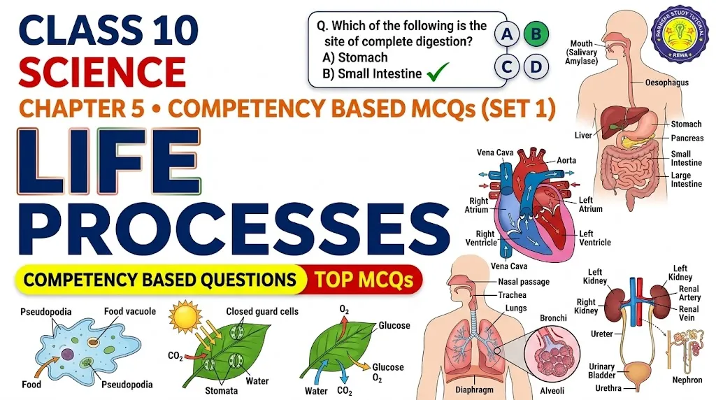 Home cbse class 10 science chapter 5 mcqs set 1 banner image