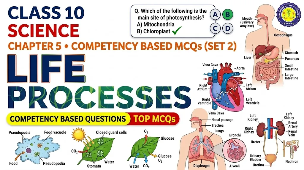 Home cbse class 10 science chapter 5 mcqs set 2 banner image