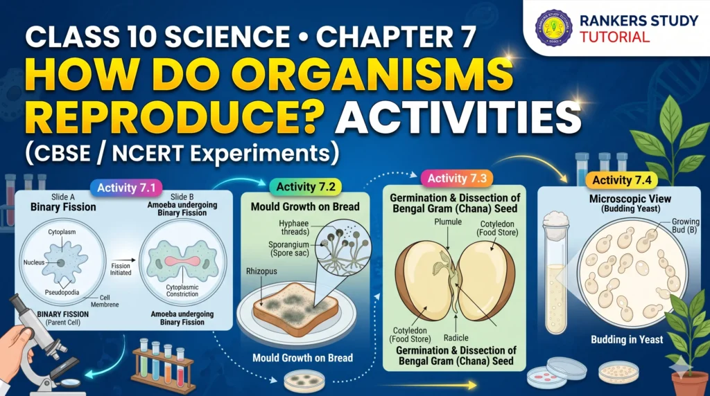 Home cbse class 10 science chapter 7 activities