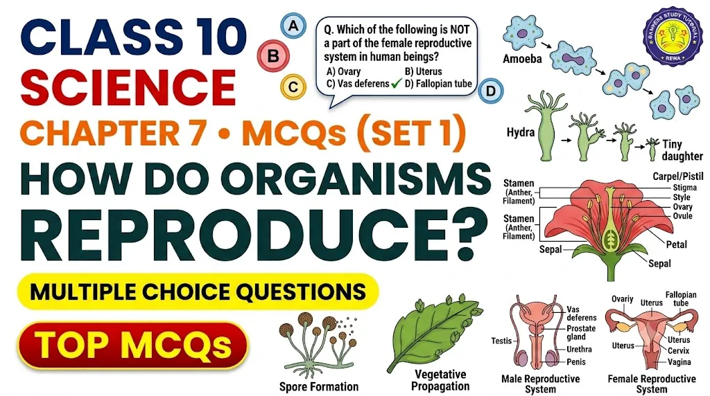 Home cbse class 10 science chapter 7 mcqs set 1 banner image