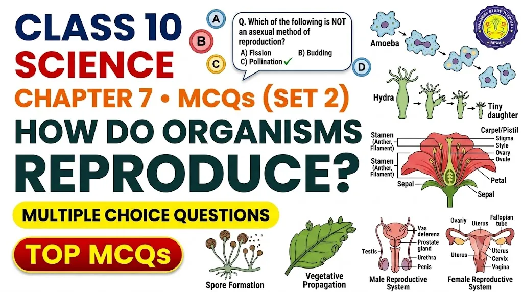 Home cbse class 10 science chapter 7 mcqs set 2 banner image