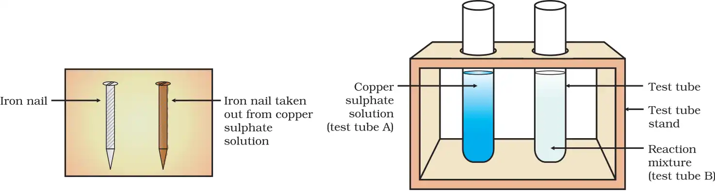 Iron Nails in Copper Sulphate Solution