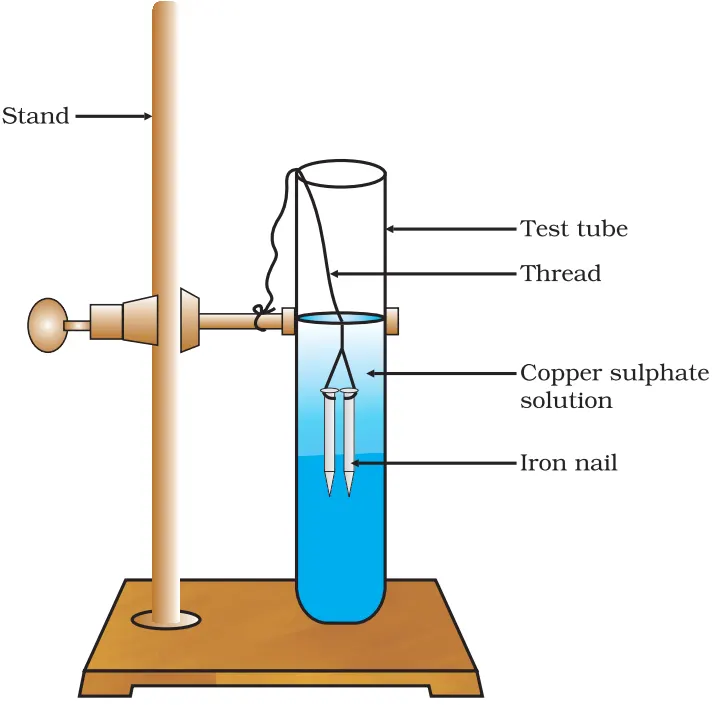 Iron Nails in Copper Sulphate Solution