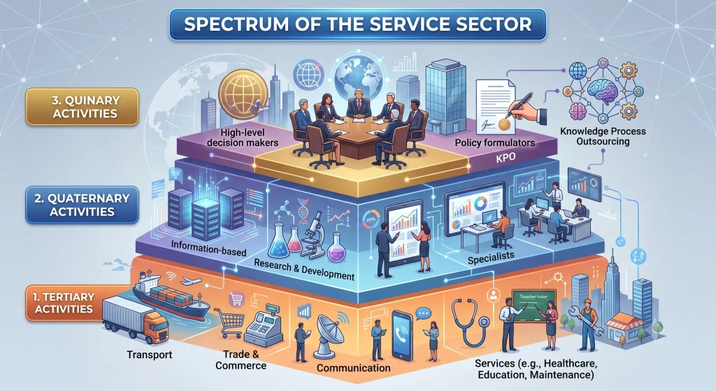Class 12 Geography (Fundamentals of Human Geography) — Chapter 6: Tertiary and Quaternary Activities g 12 06 spectrum service